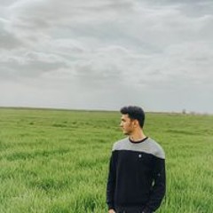 Mohammadamin Gharaghol