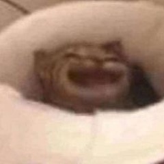 segay