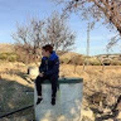 Alvaro Castill Muñoz