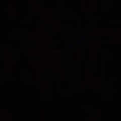 طارق الرويلي