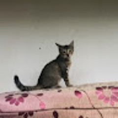 SITI AISYAH BINTI AZMI