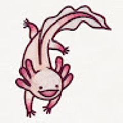 Eder H