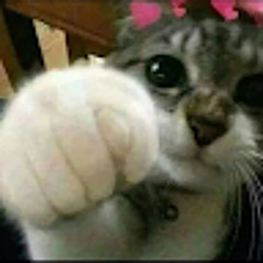 Frolter