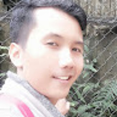 Hary Johanes