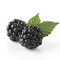 blakberrylol