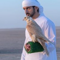 Maktoum Almehairi