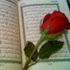 Fareda Ashour