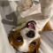 User 201886340