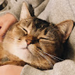 이혜민