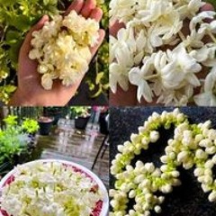 khaiugulimar@gmail.com