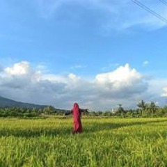 Yuni