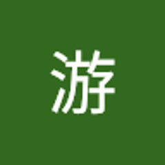 游