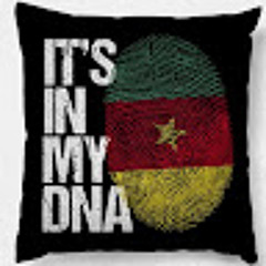 Anyang Awah N Adijatou