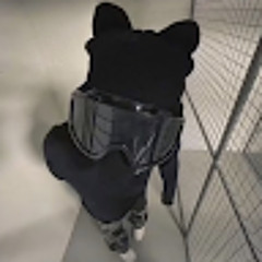 Іван Власюк