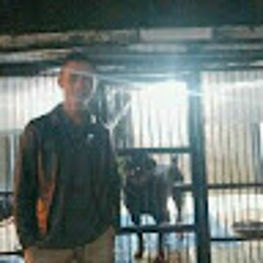 Liston Bally nababan