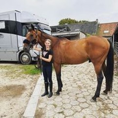 Vanitterbeekangelina