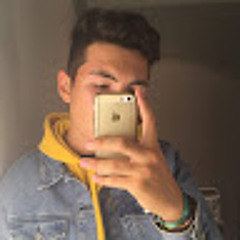 thibault morel