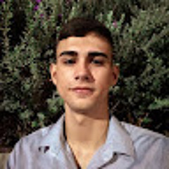 Luis Felipe Diógenes