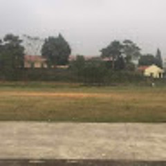 Hải Đào
