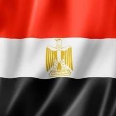 Mohamed M Yusef