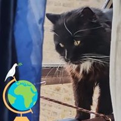 Piotr Mariusz Lazarewicz