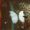 Annhie