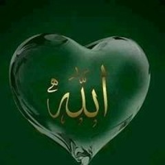 محمد جمال علي مصطفي