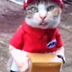 Văn Phượng Phạm