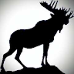 Majestic Moose