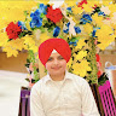 Paramveer Brar