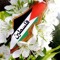 ابو مكه