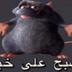 21_cabbage