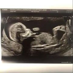 Courtney Jane Lawrence