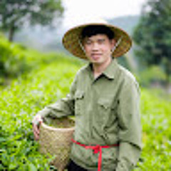 Duoc trinh van
