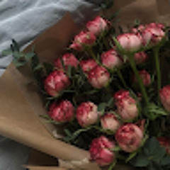 Sihry97
