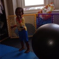 Langston S. Ebony Bush
