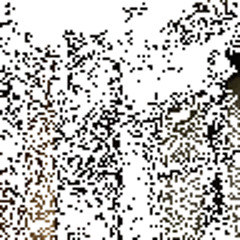 PositiveK