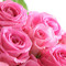 Hafsa
