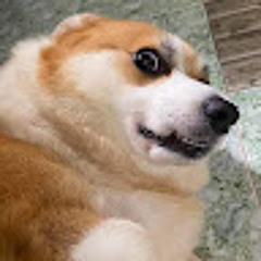 Yến Bình Lê