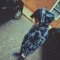liltrav