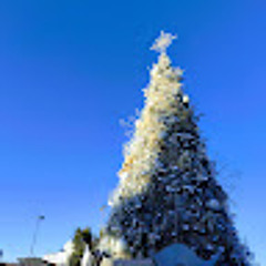 Jesus geovanni estrada