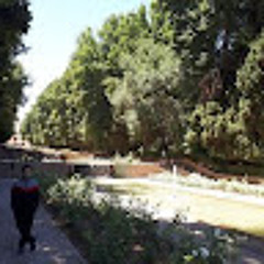 iliya masoudi