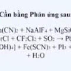 Phạm Nhật Quang 8.3