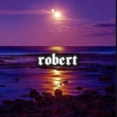 Robert Palsis