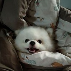조은지