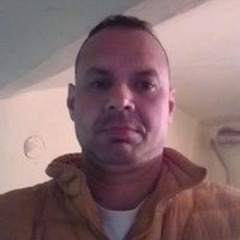 György Máté