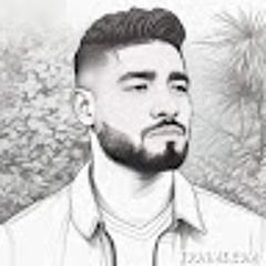 Mohammed Attia Elnagar