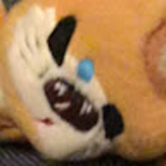 Squanchy O