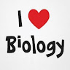 Biology Corner