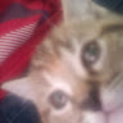 Tkvxrteey9